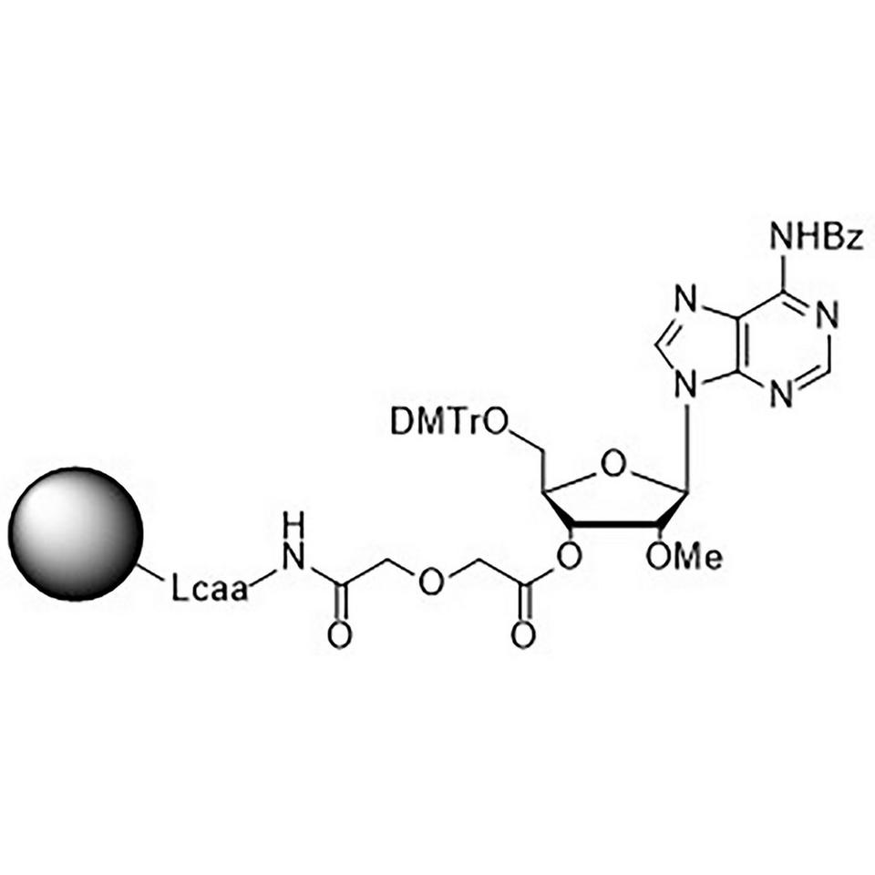 5'-DMT-2'-Methyl-A (Bz) Glycolate CPG